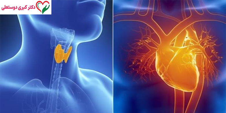 آیا داروهای تیروئید روی ضربان قلب تأثیر دارند؟