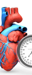 تاثیر-فشار-خون-بر-قلب